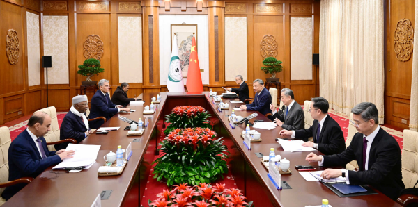 王毅 伊斯兰3.jpg