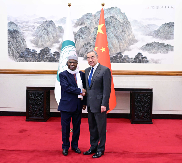 王毅 伊斯兰2.jpg