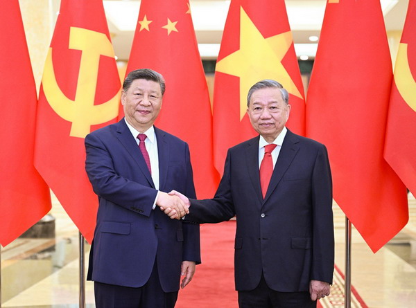 习近平同越共中央总书记苏林举行会谈1_缩小大小.jpeg